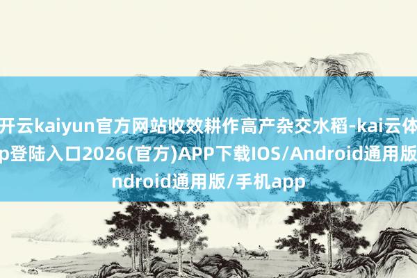 开云kaiyun官方网站收效耕作高产杂交水稻-kai云体育网页app登陆入口2026(官方)APP下载IOS/Android通用版/手机app